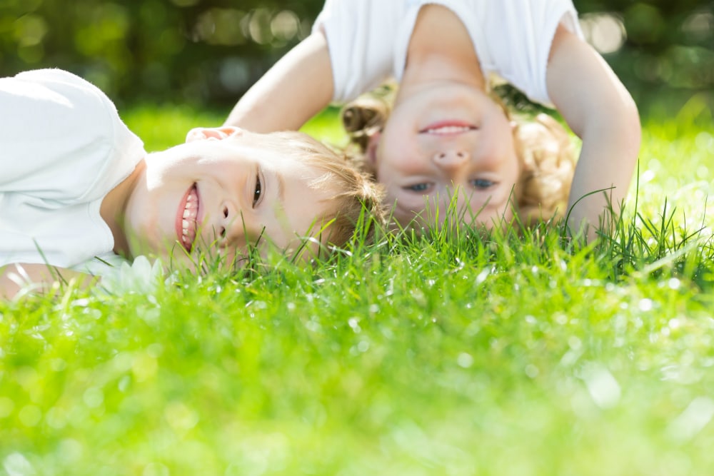 Two Children Playing in the Grass